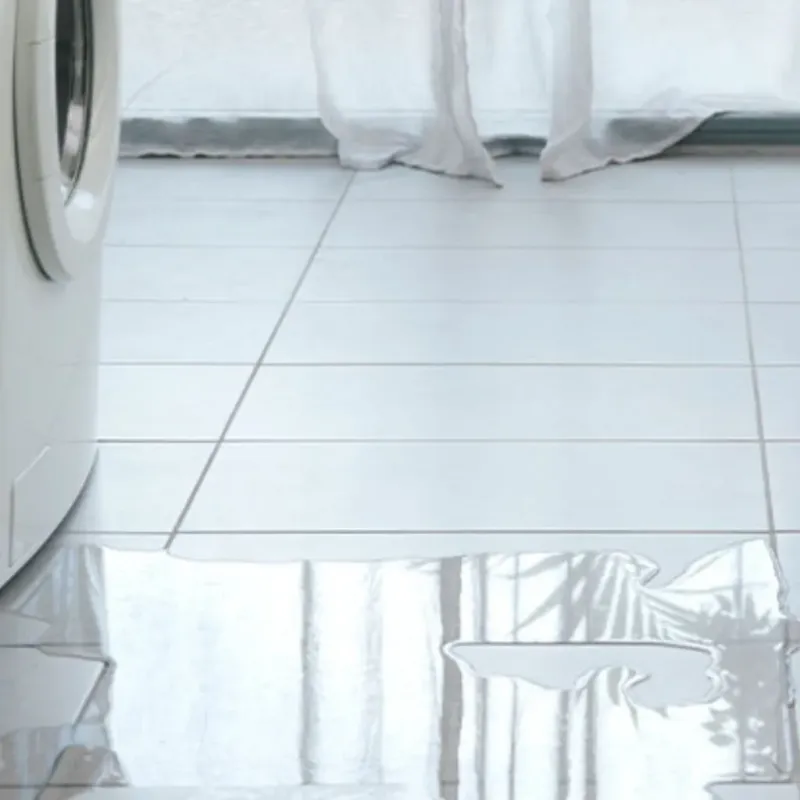Appliance Leak Cleanup in Mead, WA