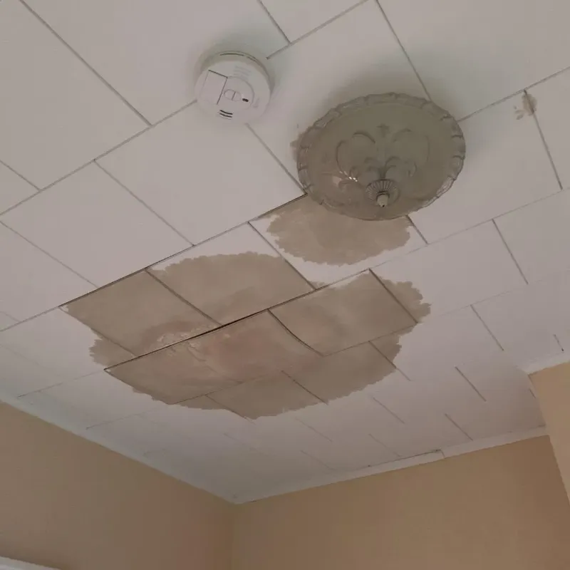 Ceiling Water Damage Repair in Mead, WA