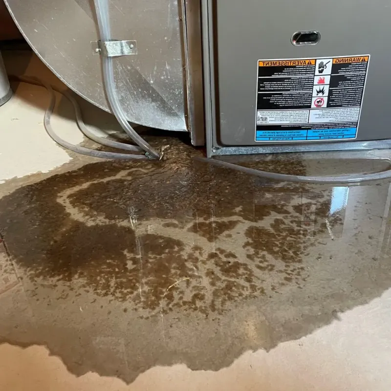 Pipe Burst and Leak Restoration in Mead, WA