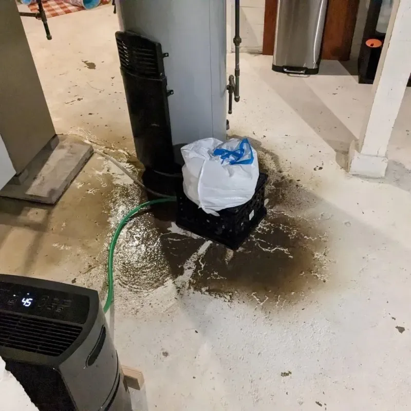 Sewage Backup Cleanup Service in Mead, WA